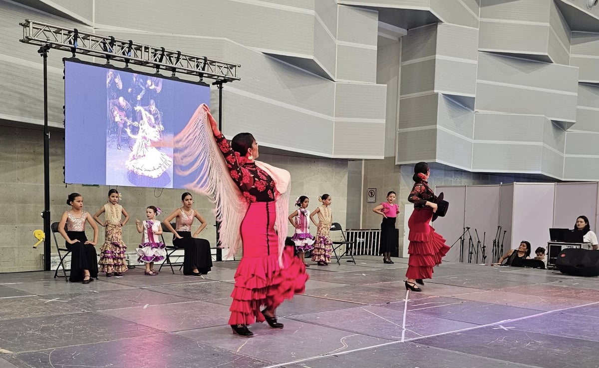 Bailes, Danzas